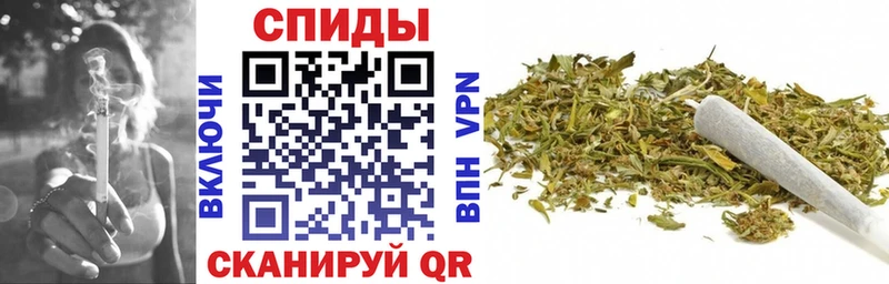 kraken   Теберда  БУТИРАТ буратино 