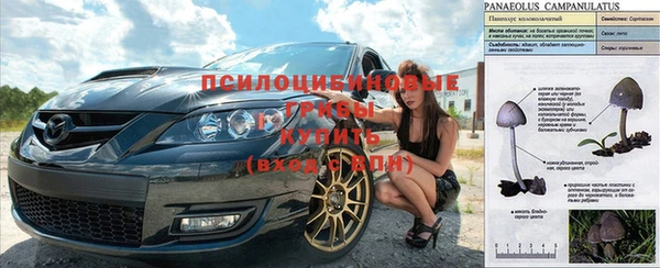 марки nbome Осинники