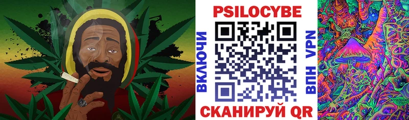 хочу   Теберда  Псилоцибиновые грибы GOLDEN TEACHER 